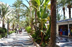 Alicante- Passeo et port 028